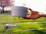 Crock Jumbo skål til tremmebur | 850ml